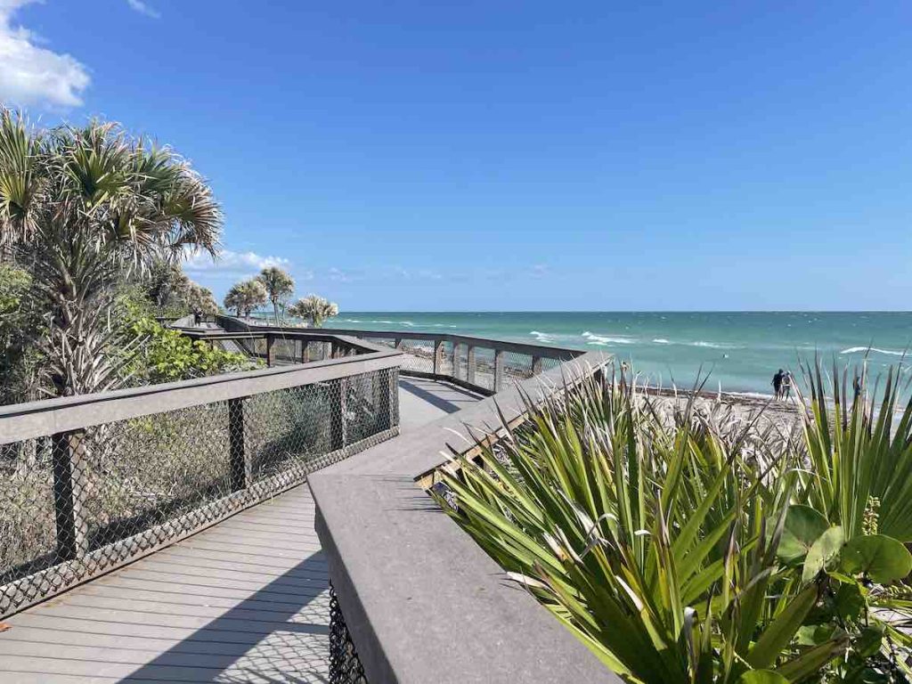 A boardwalk on the beach with palm trees and water.